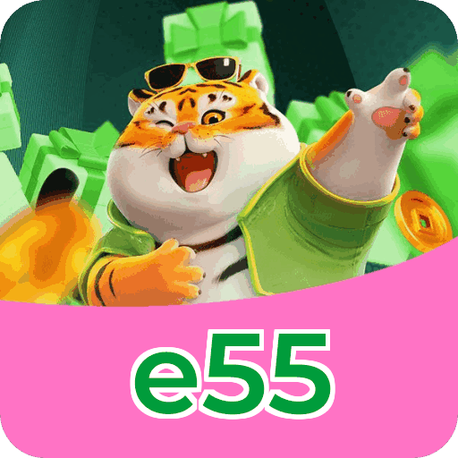 Reload Bonus e55