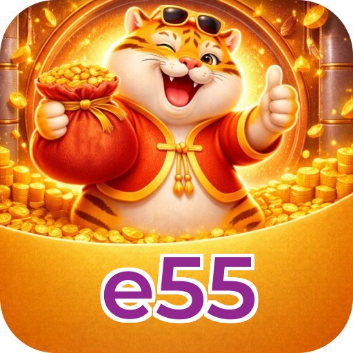 Interface e55