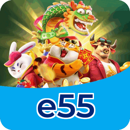 Métodos de pagamento aceitos na e55